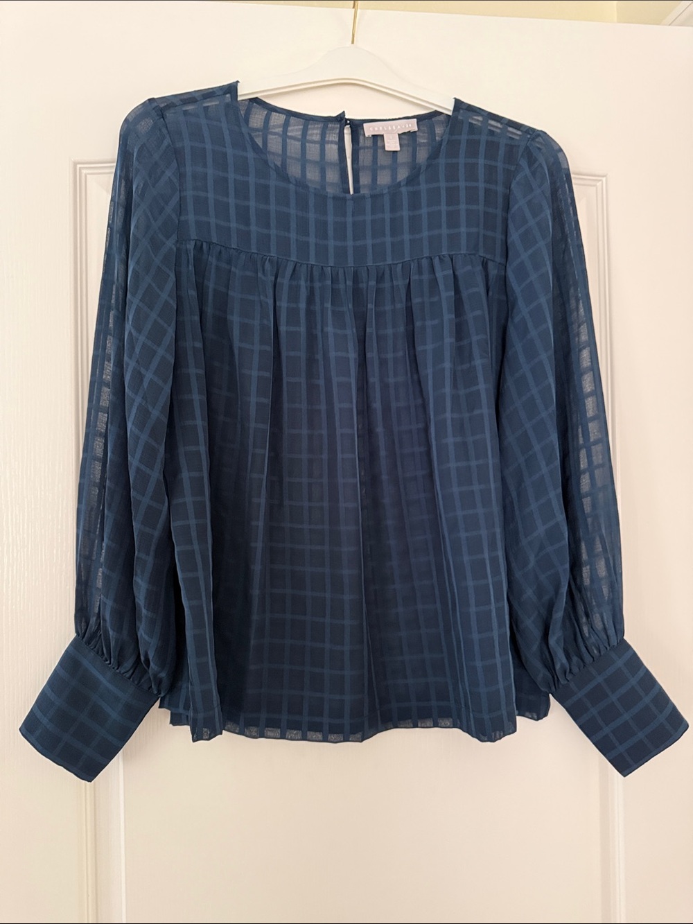 Chelsea 28 Women's Blue Sheer Check Blouse. (L)